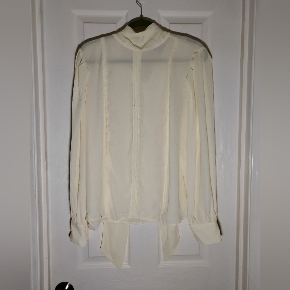 Sheer Pullover Long Sleeve Blouse